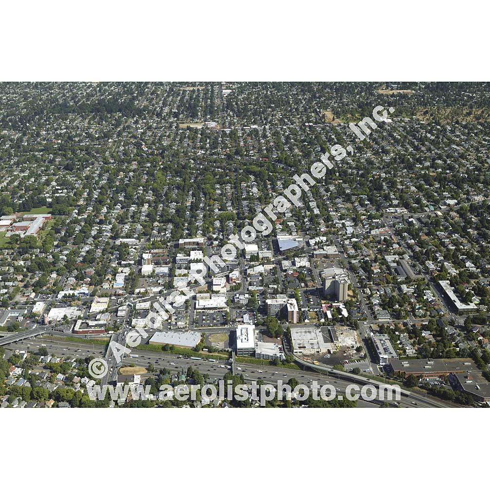 Portland - Mt Tabor 2008