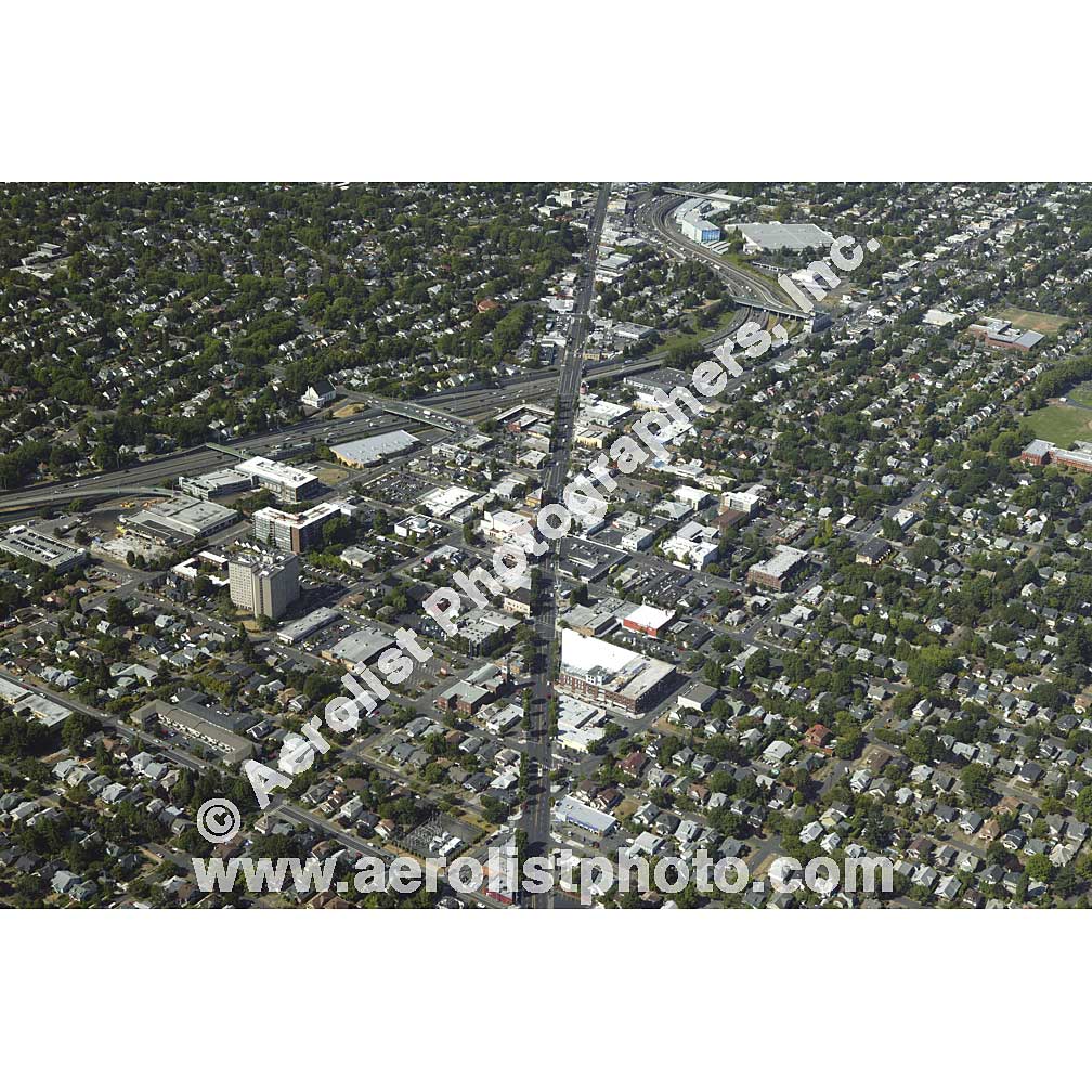 Portland - Mt Tabor 2008