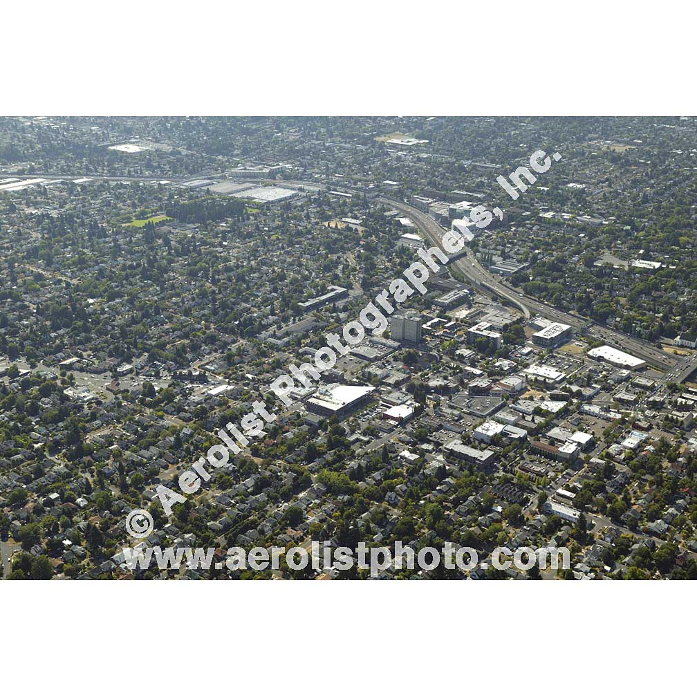 Portland - Mt Tabor 2008