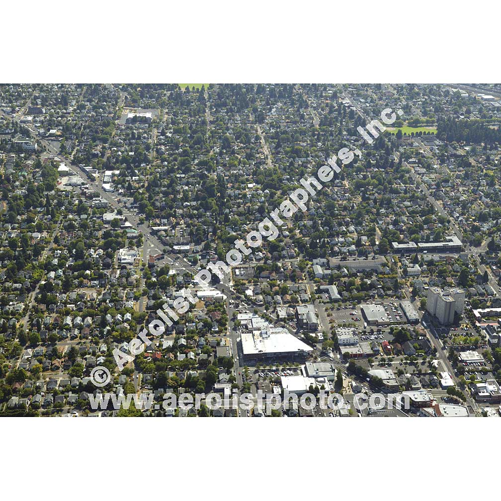 Portland - Mt Tabor 2008