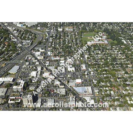 Portland - Mt Tabor 2008