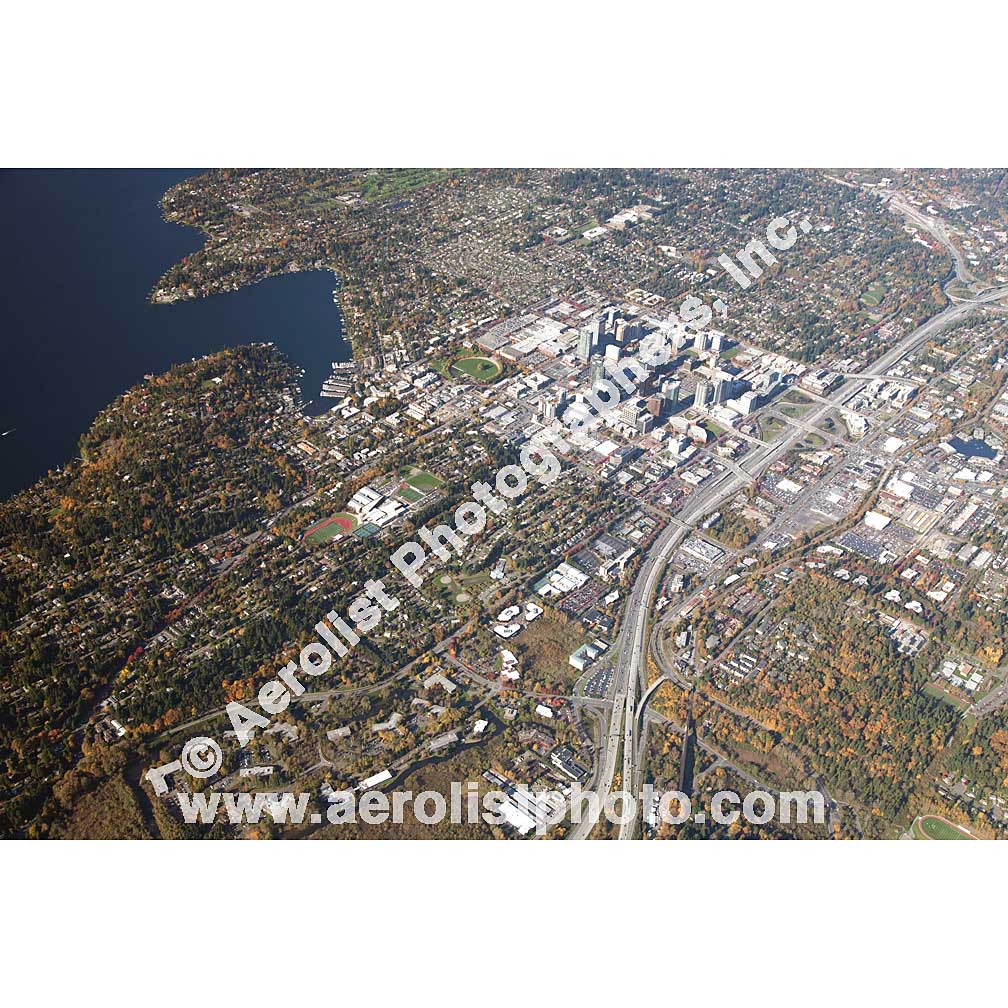 Bellevue - Downtown 2013