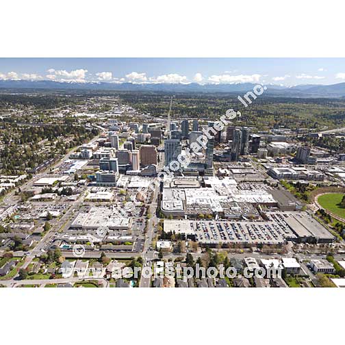 Bellevue - Downtown 2013