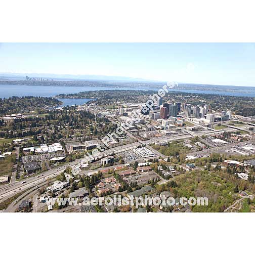 Bellevue - Downtown 2013