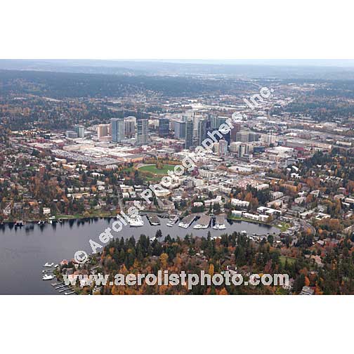 Bellevue - Downtown 2013