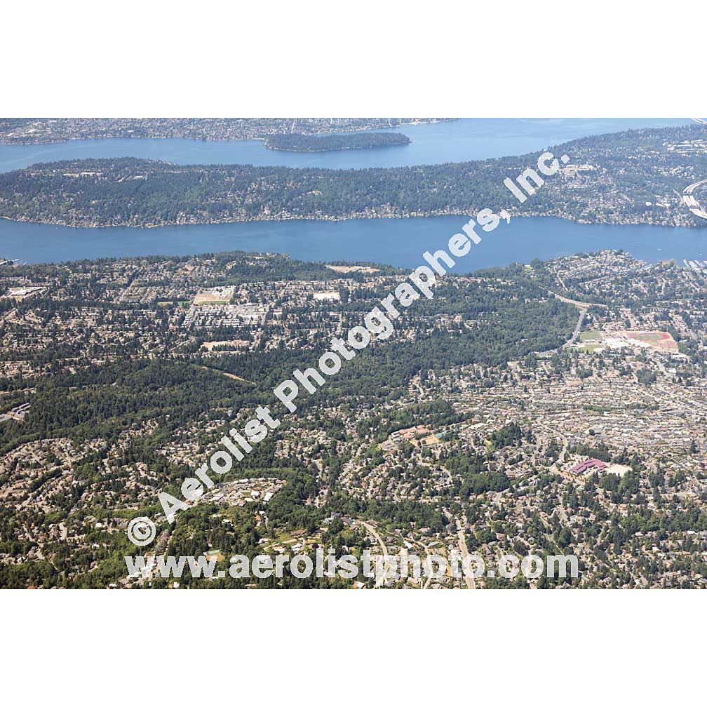 Bellevue - Newcastle 2017