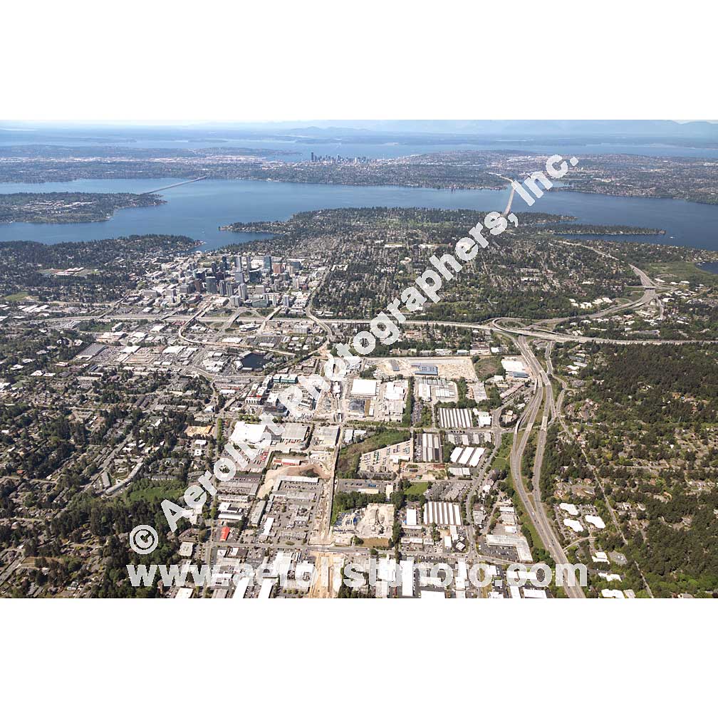 Bellevue - East 2019