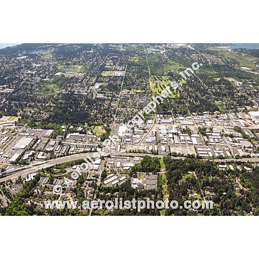 Bellevue - East 2019