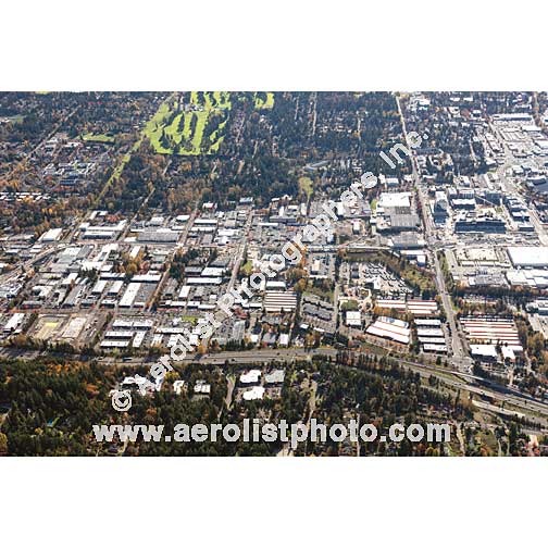 Bellevue - East 2019