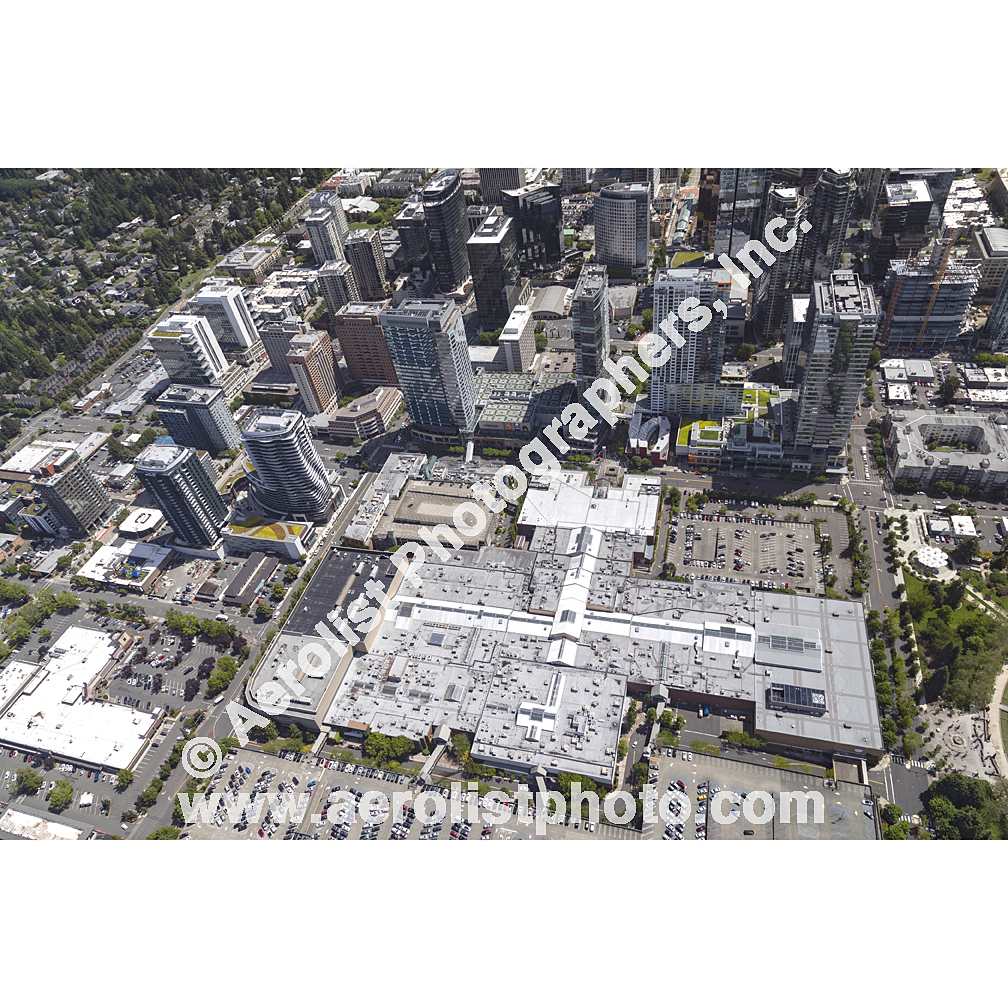 Bellevue - Downtown 2024