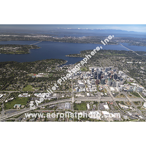 Bellevue - Downtown 2024