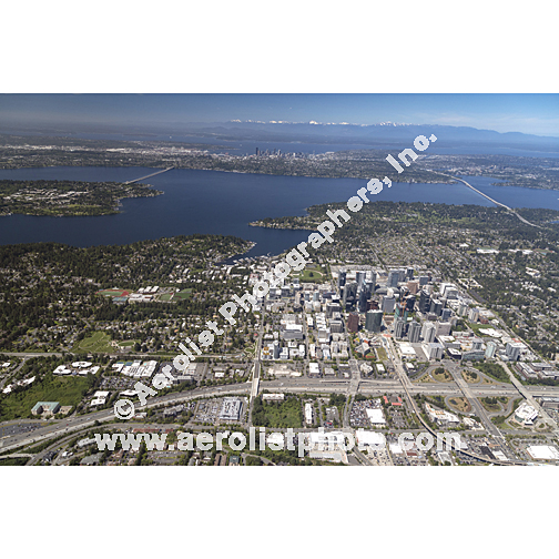 Bellevue - Downtown 2024