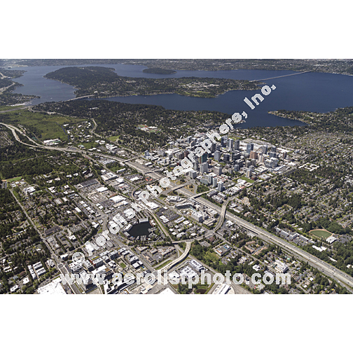 Bellevue - Downtown 2024