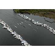 2006 Boat Show