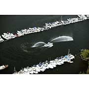 2006 Boat Show