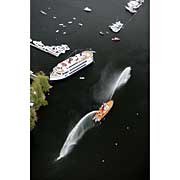 2006 Boat Show