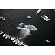 2006 Boat Show