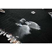 2006 Boat Show