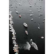 2006 Boat Show