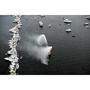 2006 Boat Show