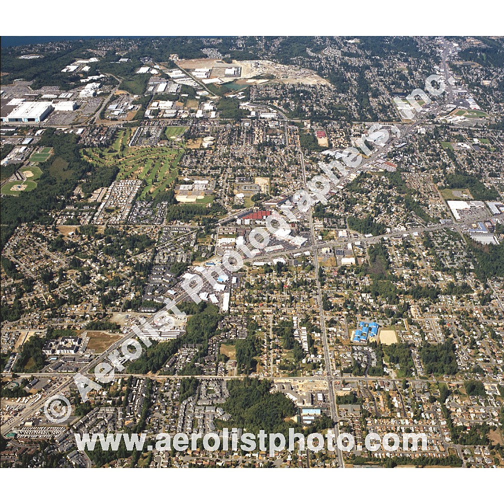 Everett Paine / Everett Mall 2002
