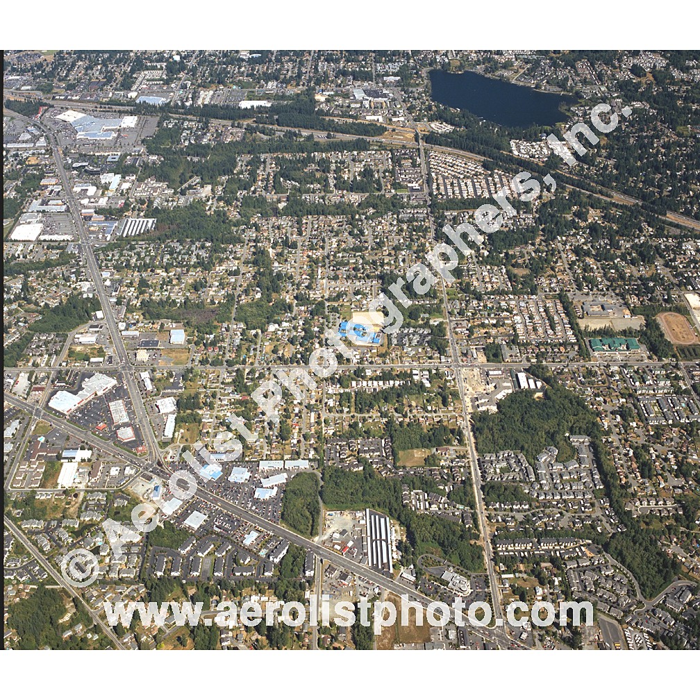 Everett Paine / Everett Mall 2002