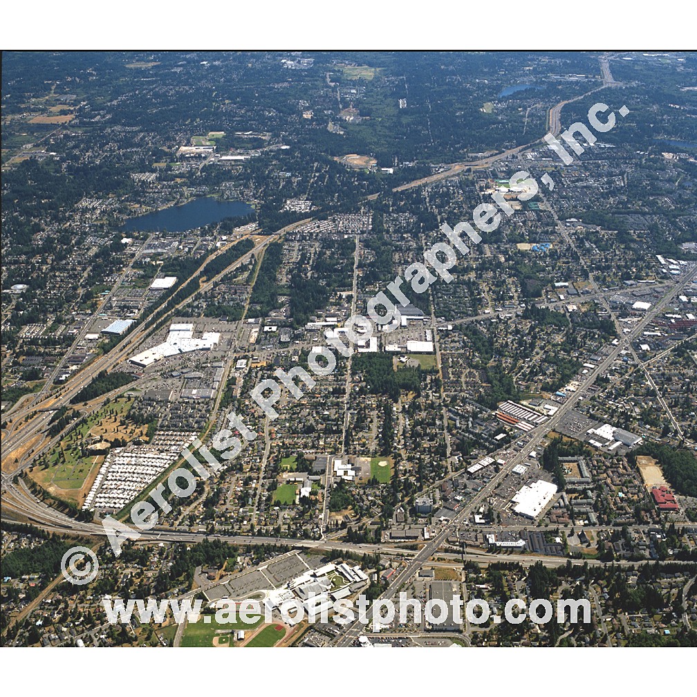Everett Paine / Everett Mall 2002