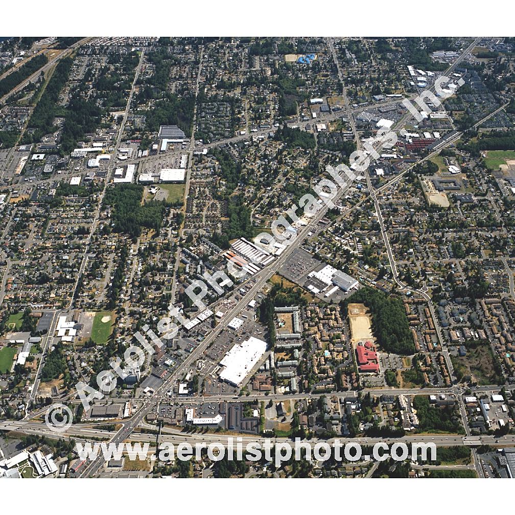 Everett Paine / Everett Mall 2002