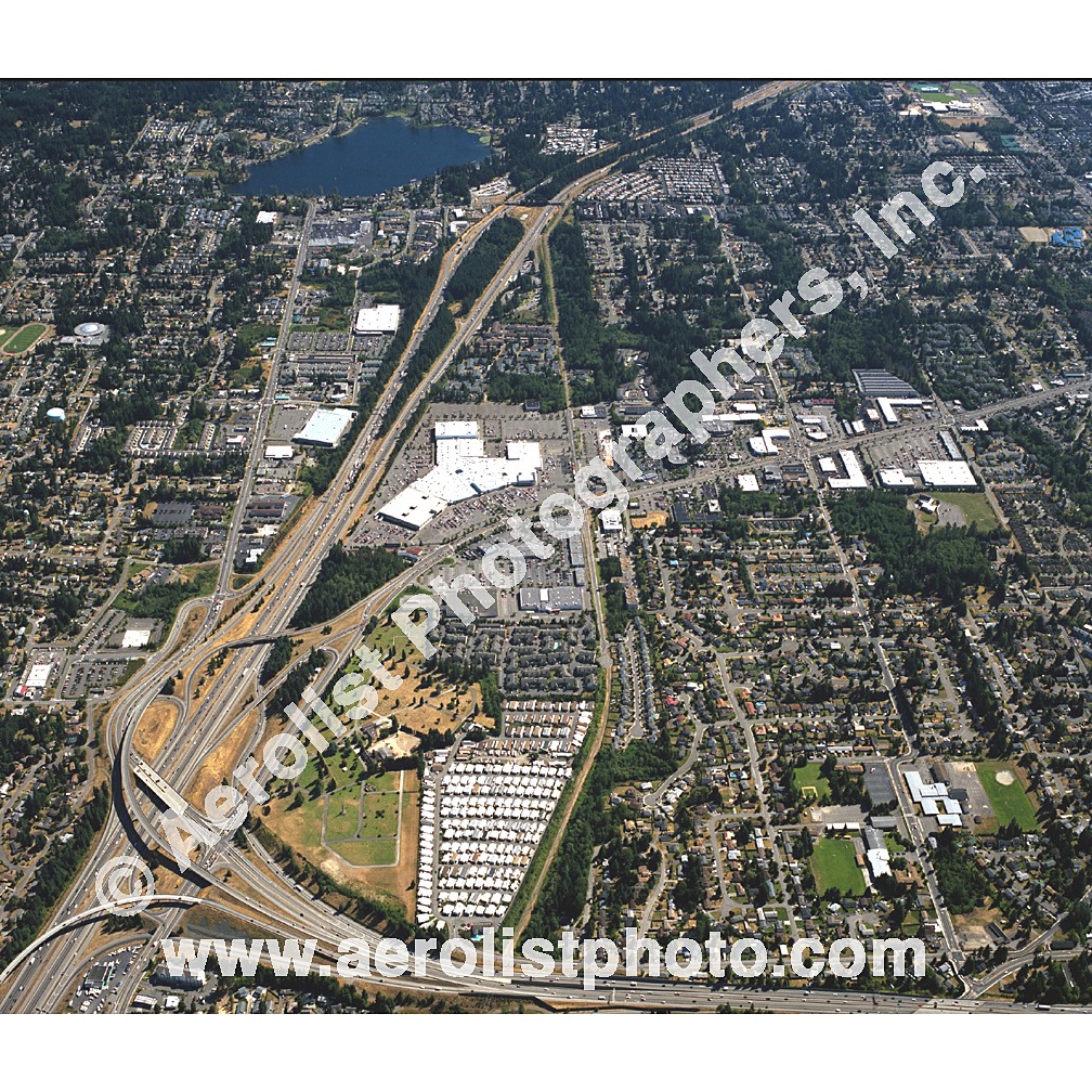 Everett Paine / Everett Mall 2002