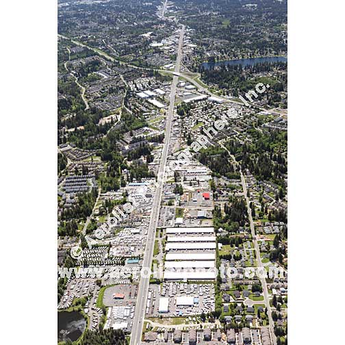 Everett - Paine / Everett Mall 2020