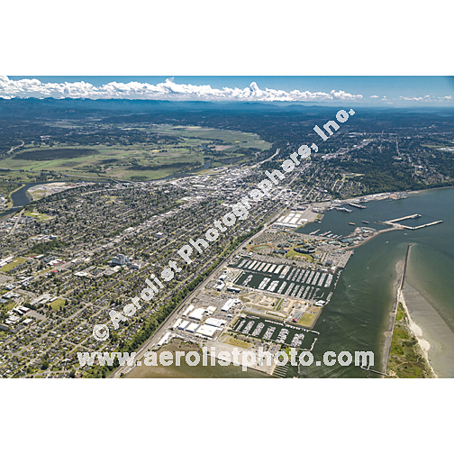 Everett - Central 2024
