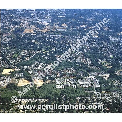 Mill Creek - Central 2002