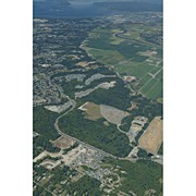 Mill Creek-East 2003