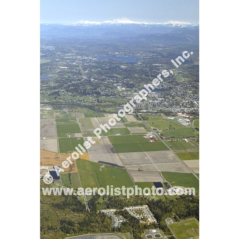 Mill Creek - Central 2006