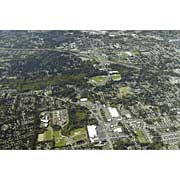 Mill Creek - Central 2006