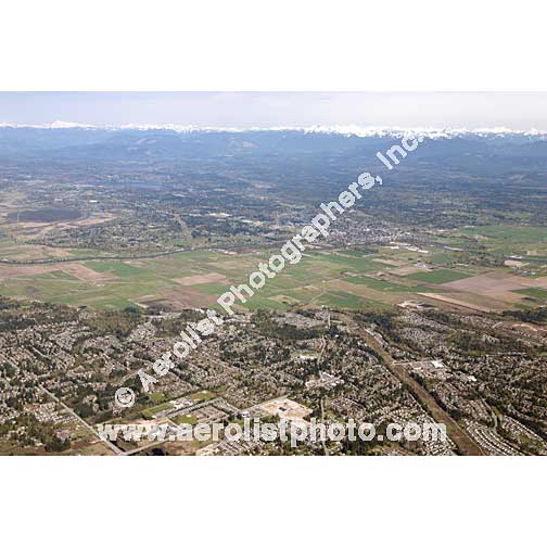 Mill Creek - East 2014