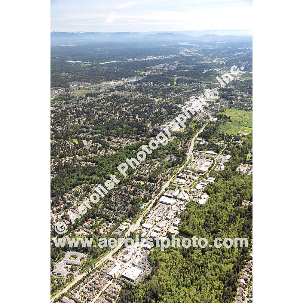 Mill Creek - Central 2020