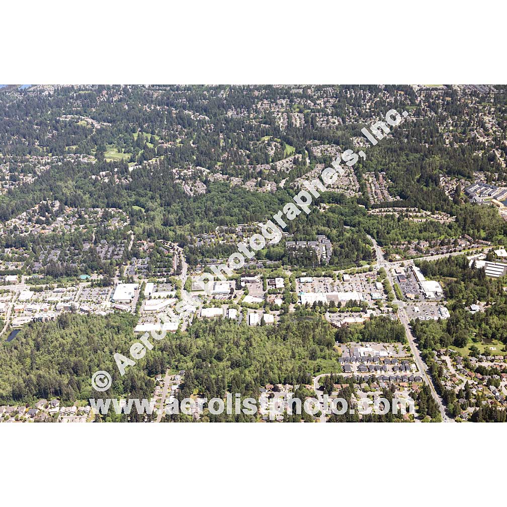 Mill Creek - Central 2020