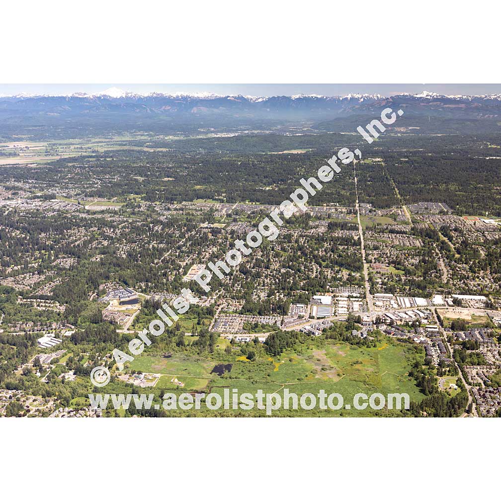 Mill Creek - Central 2020