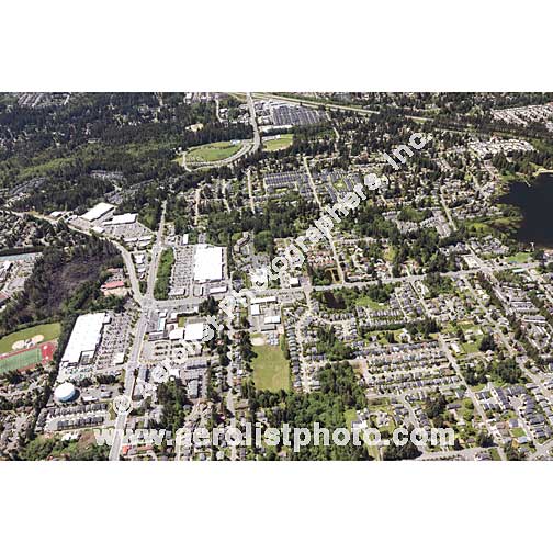 Mill Creek - Central 2020