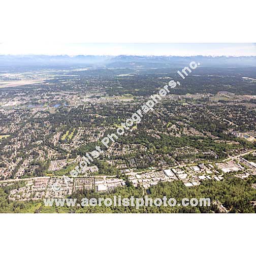 Mill Creek - Central 2020