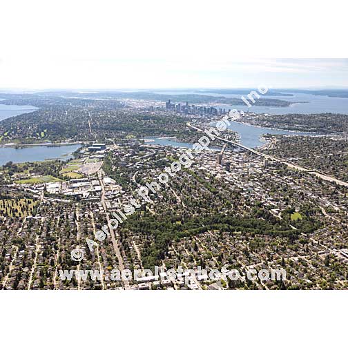 Seattle - University / Fremont / Wallingford 2020