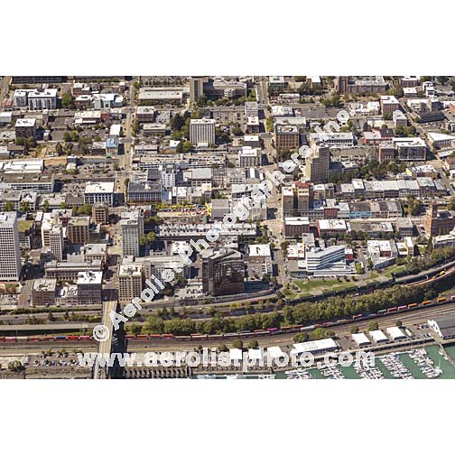 Tacoma - Downtown 2025