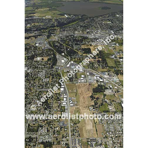 Vancouver-Central 2006