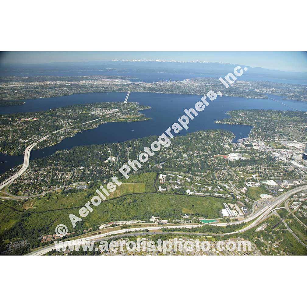 Bellevue - Downtown 2011