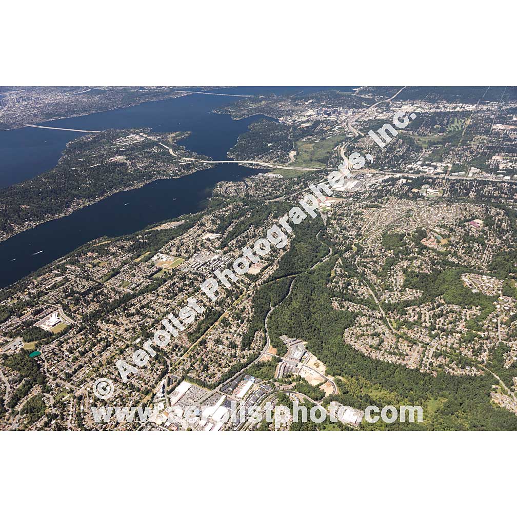 Bellevue - Newcastle 2017