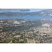 Bellevue - Newcastle 2017