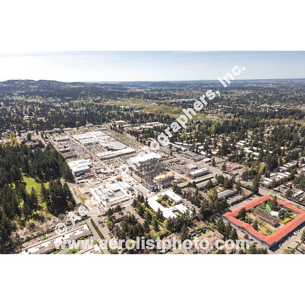 Bellevue - East 2018