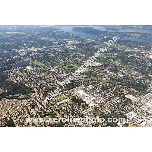 Bellevue - East 2018