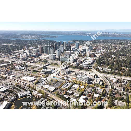 Bellevue - Downtown 2018